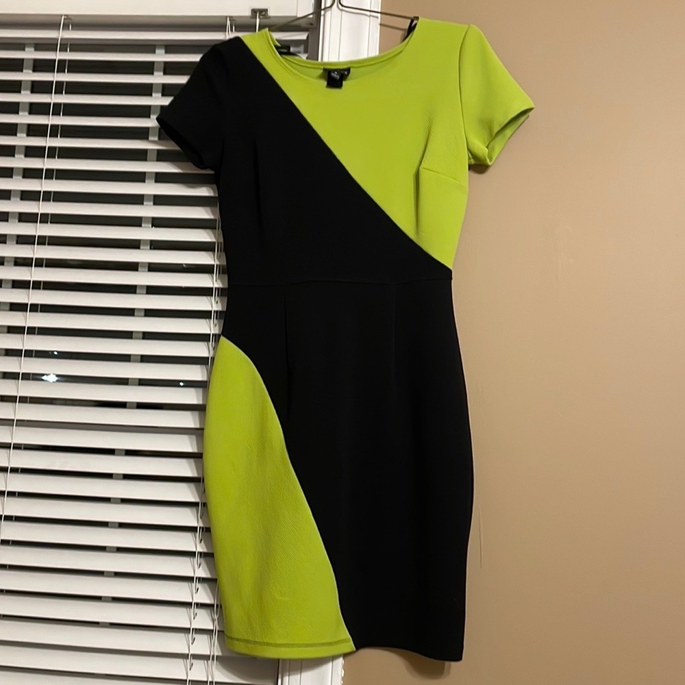 Enfocus Studio Fitted dress